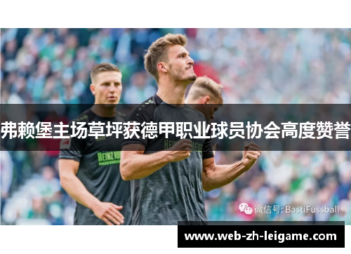 弗赖堡主场草坪获德甲职业球员协会高度赞誉 弗赖堡主场草坪获德甲职业球员协会高度赞誉